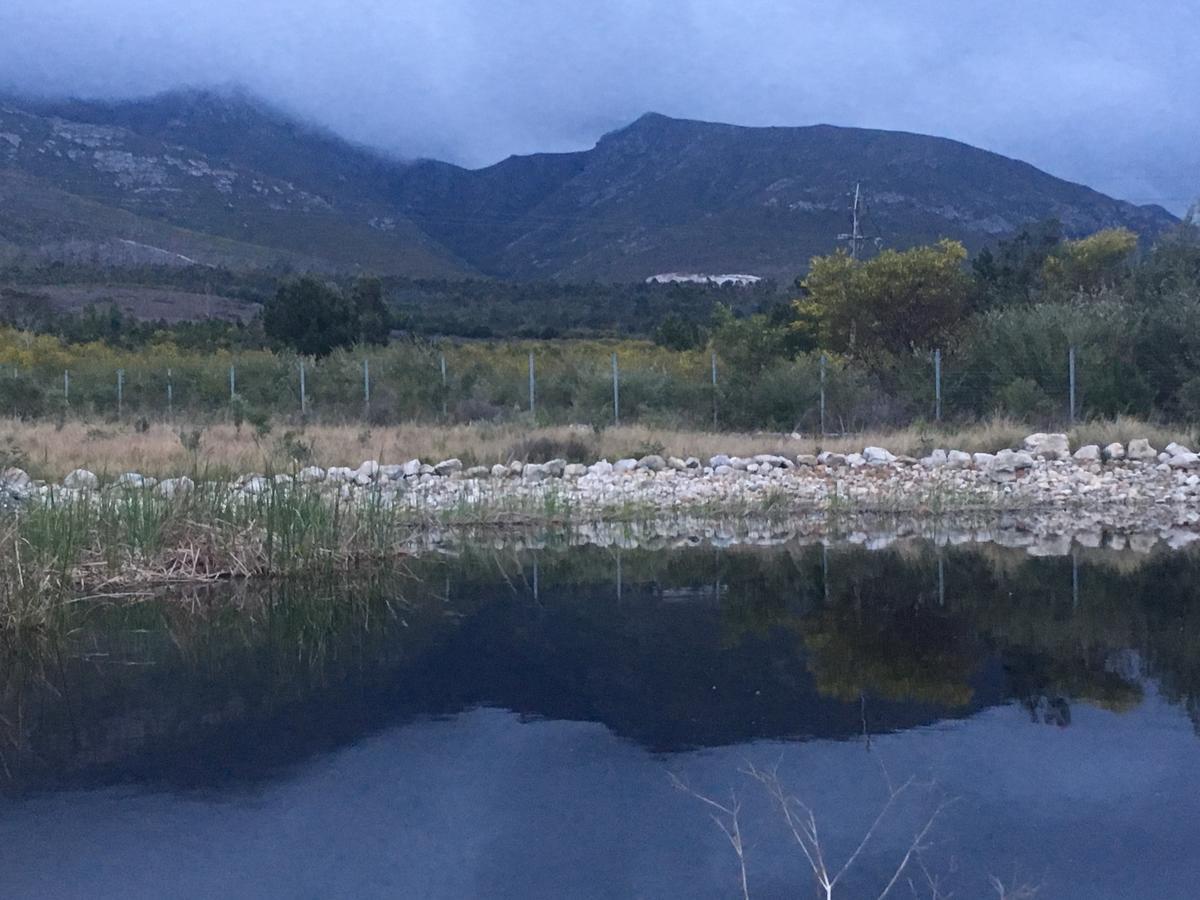 Misty Mountains Villa Hermanus Exterior foto